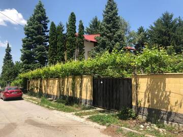 Фотографии Гостевой дом Guest House Rilski Bars г. Сапарева-Баня (Болгария) №4 Фото Гостевой дом Guest House Rilski Bars г. Сапарева-Баня 4