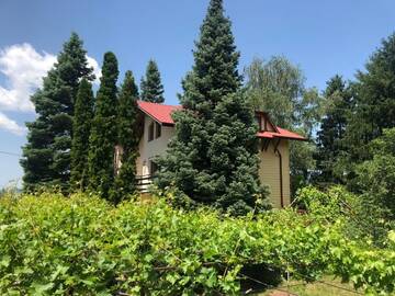 Фотографии Гостевой дом Guest House Rilski Bars г. Сапарева-Баня (Болгария) №1 Фото Гостевой дом Guest House Rilski Bars г. Сапарева-Баня 1