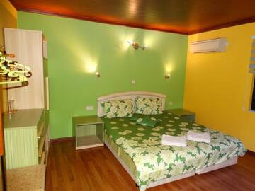 Фото номера Стандартный двухместный номер с 1 кроватью Гостевой дом Guest House Ivel г. Сапарева-Баня 6