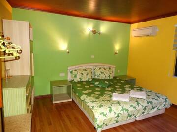 Фото номера Стандартный двухместный номер с 1 кроватью Гостевой дом Guest House Ivel г. Сапарева-Баня 11