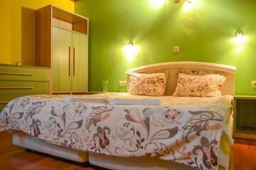 Фото номера Стандартный двухместный номер с 1 кроватью Гостевой дом Guest House Ivel г. Сапарева-Баня 5