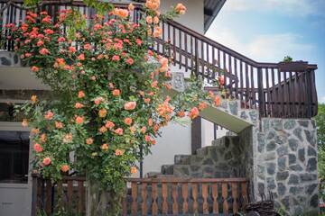 Фото номера Четырехместный номер эконом-класса Гостевой дом Guest House ViA г. Сапарева-Баня 3