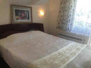 Фото номера Двухместный номер с 1 кроватью Гостевой дом Villa Koko Hills г. Сапарева-Баня 4