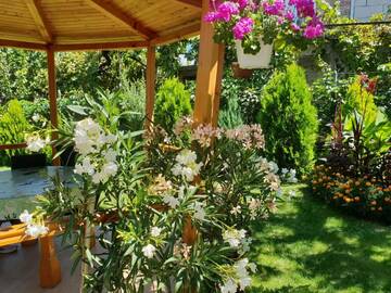 Фото Гостевой дом Kyurkchievi Guest House г. Сапарева-Баня 4