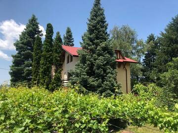 Фото номера Вилла Гостевой дом Guest House Rilski Bars г. Сапарева-Баня 9