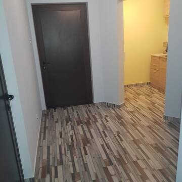 Фото номера Апартаменты с видом на горы Гостевой дом Guest House Ileana г. Сапарева-Баня 11