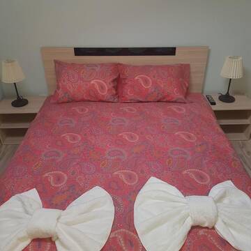 Фото номера Апартаменты с видом на горы Гостевой дом Guest House Ileana г. Сапарева-Баня 13