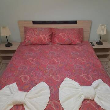 Фото номера Апартаменты с видом на горы Гостевой дом Guest House Ileana г. Сапарева-Баня 22