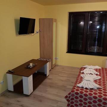Фото номера Апартаменты с видом на горы Гостевой дом Guest House Ileana г. Сапарева-Баня 20