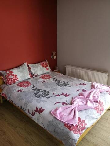Фото номера Классический семейный номер Гостевой дом Medi Guest House г. Сапарева-Баня 5